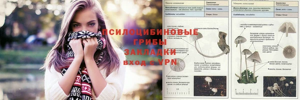 индика Аркадак