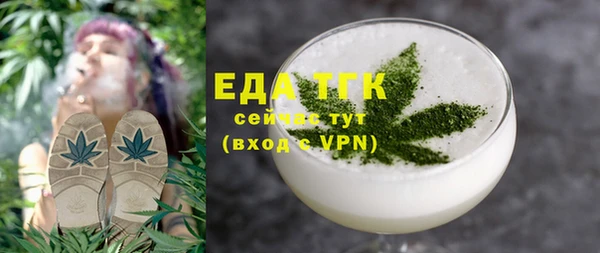 индика Аркадак