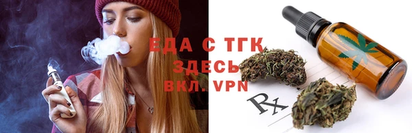 индика Аркадак