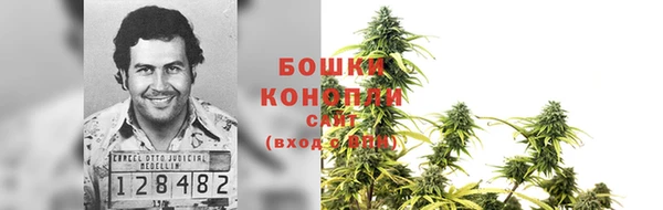 индика Аркадак