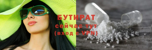 индика Аркадак