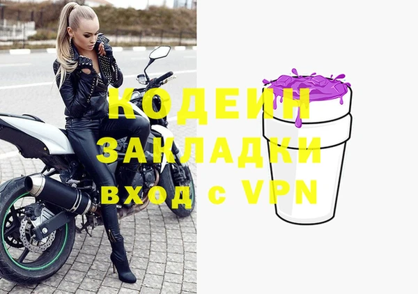 индика Аркадак