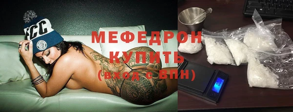индика Аркадак