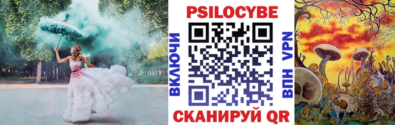 Галлюциногенные грибы Magic Shrooms  нарко площадка телеграм  Белозерск 